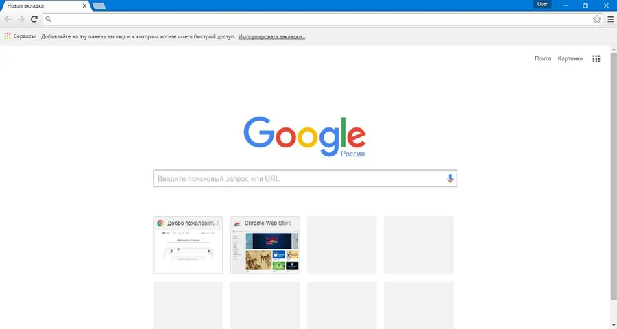 Окно браузера Google Chrome на русском языке